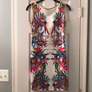 Multicolor backless dress